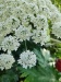 Thumbnail IMG20220707121047.jpg 