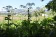 Thumbnail IMG_3085.JPG 