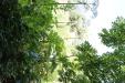 Thumbnail IMG_3088.JPG 