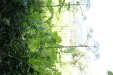Thumbnail IMG_3089.JPG 