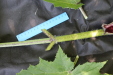 Thumbnail IMG_3119.JPG 