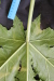 Thumbnail IMG_3129.JPG 