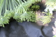 Thumbnail IMG_3134.JPG 
