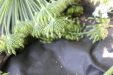 Thumbnail IMG_3135.JPG 