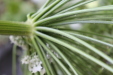 Thumbnail IMG_3139.JPG 