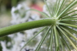 Thumbnail IMG_3140.JPG 