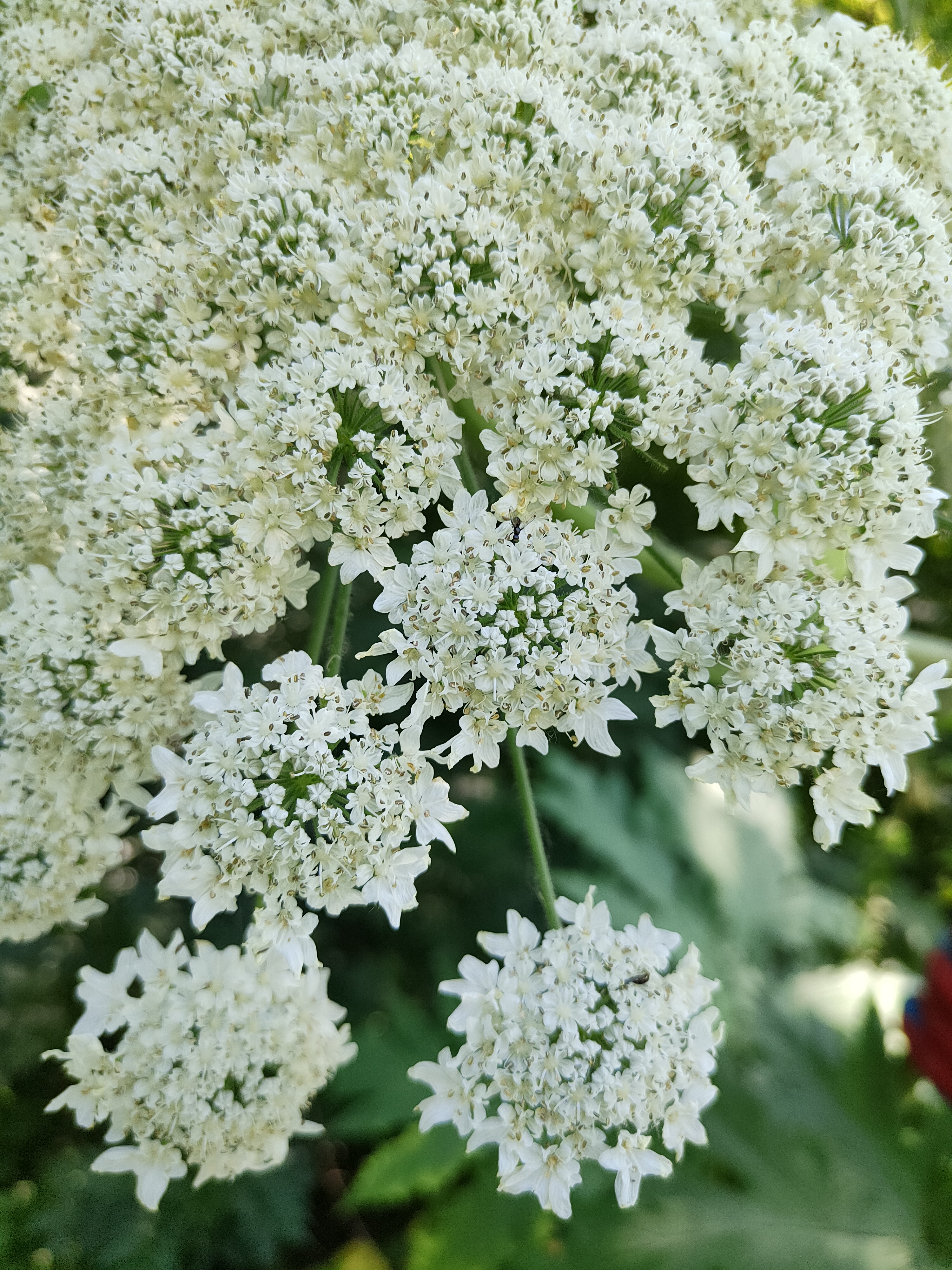 IMG20220707121044.jpg 