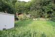 Thumbnail IMG_3233.JPG 