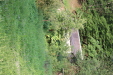 Thumbnail IMG_3234.JPG 