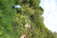 Thumbnail IMG_3237.JPG 