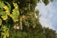 Thumbnail IMG_3242.JPG 