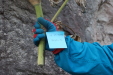 Thumbnail IMG_3556.JPG 
