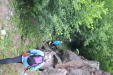 Thumbnail IMG_3579.JPG 
