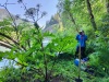 Thumbnail IMG20220709083318.jpg 