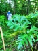 Thumbnail IMG20220709083332.jpg 