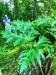 Thumbnail IMG20220709083334.jpg 