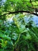 Thumbnail IMG20220709083337.jpg 