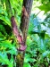 Thumbnail IMG20220709083349.jpg 