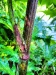 Thumbnail IMG20220709083351.jpg 