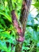 Thumbnail IMG20220709083357.jpg 
