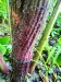 Thumbnail IMG20220709083403.jpg 