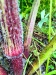 Thumbnail IMG20220709083407.jpg 