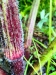 Thumbnail IMG20220709083409.jpg 