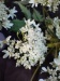 Thumbnail IMG20220709085029.jpg 