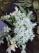 Thumbnail IMG20220709085032.jpg 