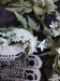 Thumbnail IMG20220709085044.jpg 