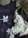 Thumbnail IMG20220709085050.jpg 