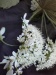 Thumbnail IMG20220709085053.jpg 