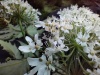 Thumbnail IMG20220709085119.jpg 