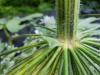 Thumbnail IMG20220709085153.jpg 