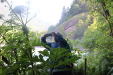 Thumbnail IMG_3663.JPG 