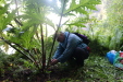 Thumbnail IMG_3666.JPG 