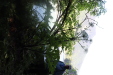 Thumbnail IMG_3667.JPG 