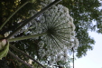 Thumbnail IMG_3674.JPG 