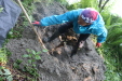 Thumbnail IMG_3687.JPG 