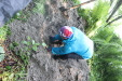 Thumbnail IMG_3688.JPG 