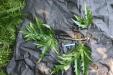 Thumbnail IMG_3691.JPG 