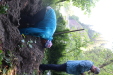 Thumbnail IMG_3699.JPG 