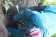 Thumbnail IMG_3701.JPG 