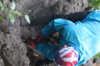 Thumbnail IMG_3703.JPG 