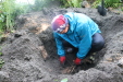 Thumbnail IMG_3704.JPG 