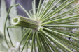 Thumbnail IMG_3736.JPG 