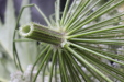 Thumbnail IMG_3737.JPG 