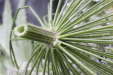 Thumbnail IMG_3738.JPG 