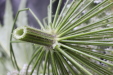 Thumbnail IMG_3739.JPG 