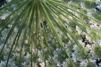 Thumbnail IMG_3741.JPG 